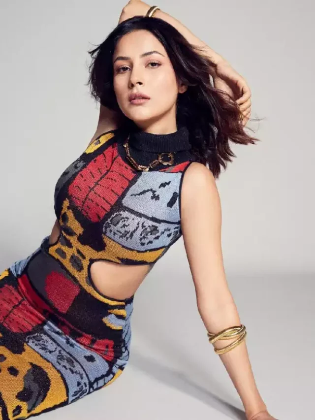 Breaking the Internet: Shehnaaz Gill's Jaw-Dropping Fashion Statement in a Glamorous Cut-Out Bodycon Dress with Trendy Abstract Print - All Stunning Pics Inside!