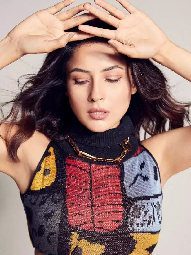 Shehnaaz Gill’s Dress Dazzles Instagram: Get the Fashion Details